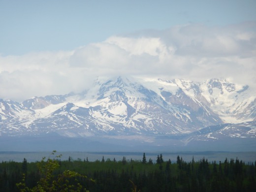 Alaska 2008 – foto 2