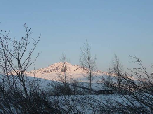 Alaska 2008 – foto 5
