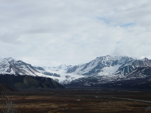 Alaska 2008 – foto 7