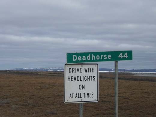 Alaska 2008 – foto 14