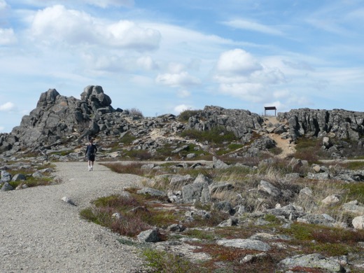 Alaska 2008 – foto 15