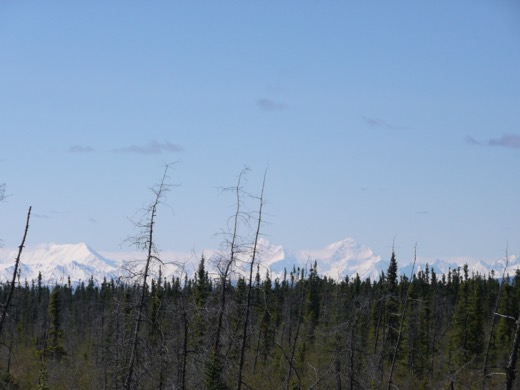 Alaska 2008 – foto 20