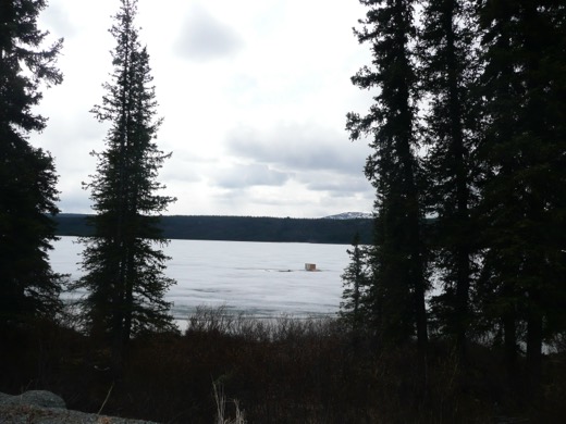 Alaska 2008 – foto 25