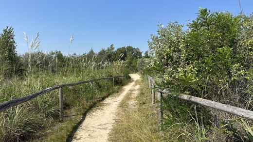 Benátky 2023 – foto 3