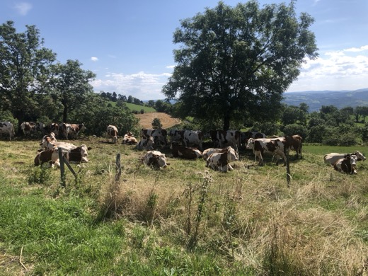 Francie 2019 – foto 31