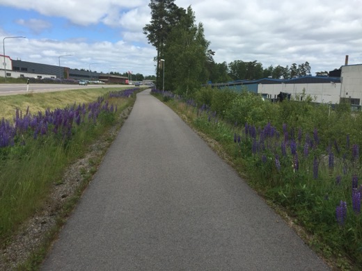 Helsinky 2015 – foto 10