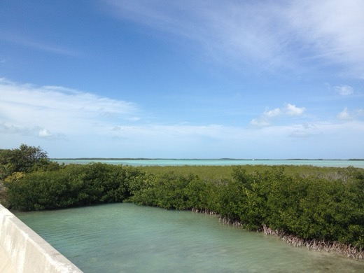 Miami Key West 2012 – foto 7