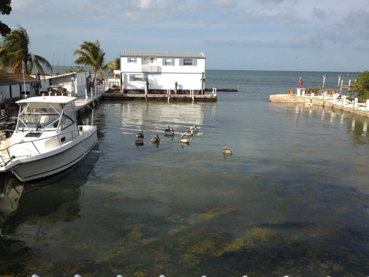 Miami Key West 2012 – foto 14