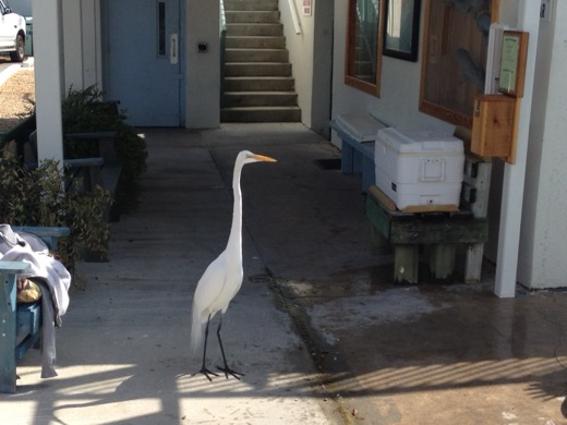 Miami Key West 2012 – foto 19