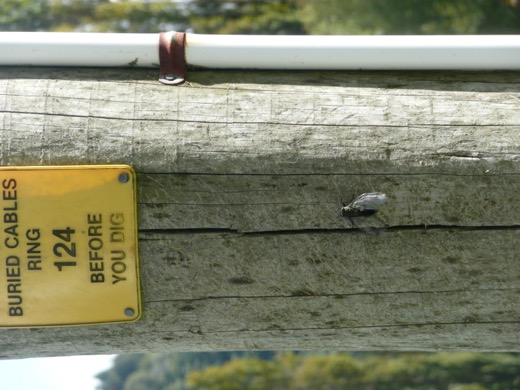 Nový Zéland 2009 – foto 9