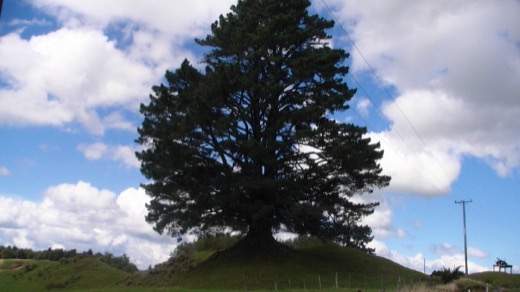 Nový Zéland 2009 – foto 33