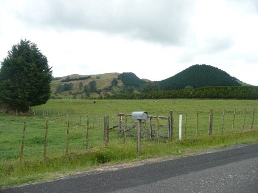 Nový Zéland 2009 – foto 37