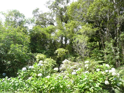 Nový Zéland 2009 – foto 38