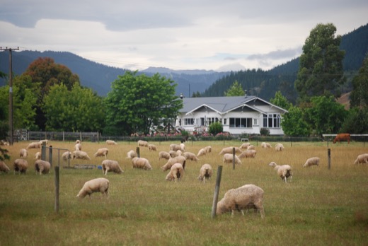 Nový Zéland 2010 – foto 1