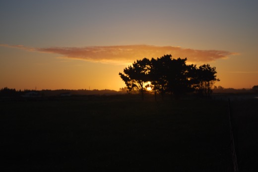 Nový Zéland 2010 – foto 48