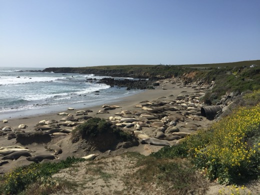 San Francisco-San Diego 2015 – foto 1