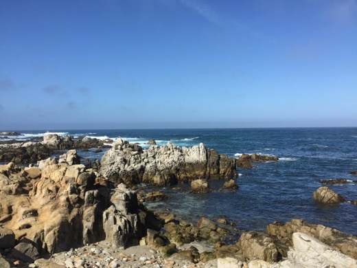 San Francisco-San Diego 2015 – foto 13