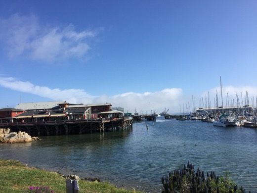 San Francisco-San Diego 2015 – foto 17