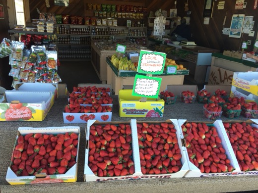 San Francisco-San Diego 2015 – foto 19