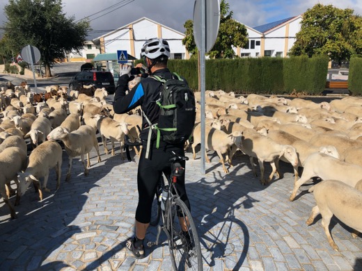 Španělsko 2018 – foto 53