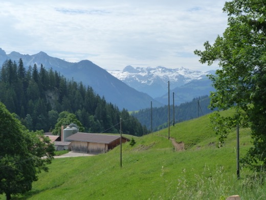 Štípa-Paříž 2012 – foto 22