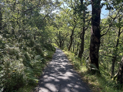 Skotsko a Anglie 2025 – foto 25