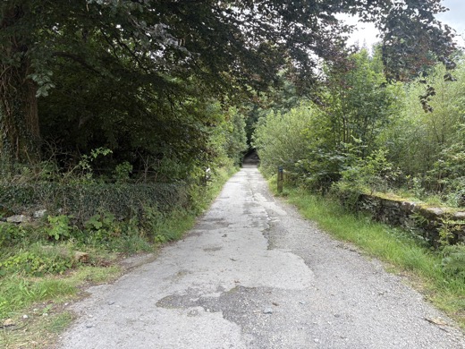 Skotsko a Anglie 2025 – foto 88