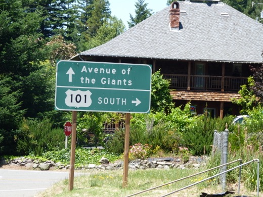 Západní pobřeží USA 2011 – foto 33