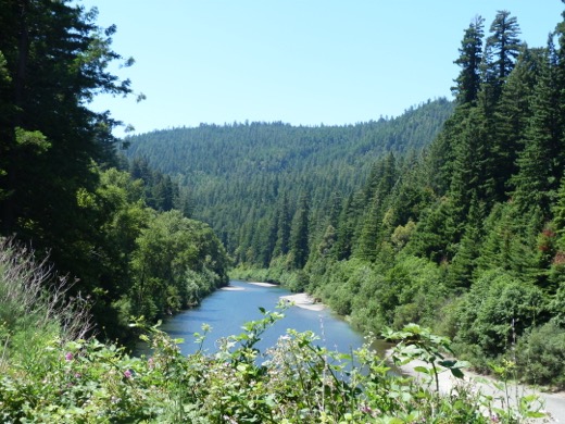 Západní pobřeží USA 2011 – foto 35