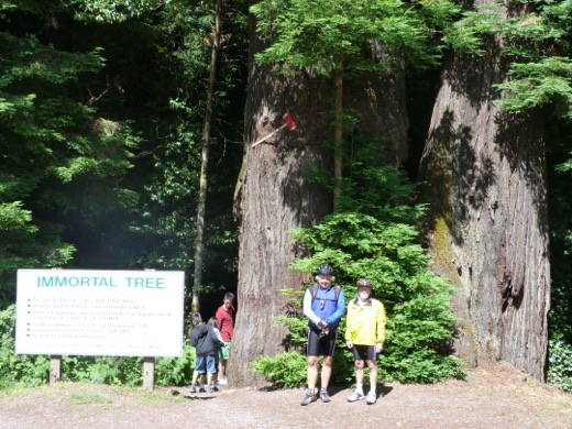 Západní pobřeží USA 2011 – foto 36