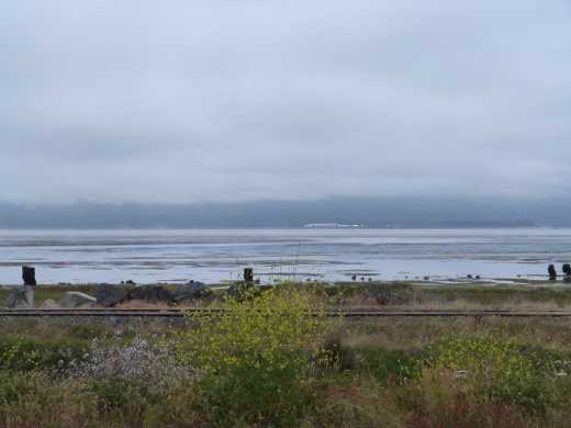 Západní pobřeží USA 2011 – foto 37