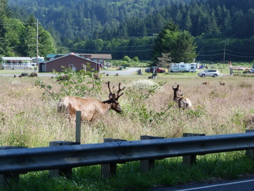 Západní pobřeží USA 2011 – foto 39