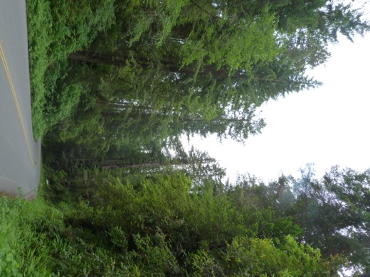 Západní pobřeží USA 2011 – foto 42